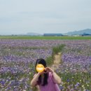 대벌경로당 이미지