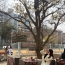 어서왈왈 | 대구 시지 목련 맛집 '켑트 베이커스' 막바지에 방문하다 რᩚ