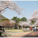 구 진해요항부 병원 이미지