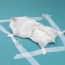 실버정은 이미지