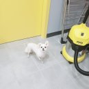 깡이네 이발소 이미지