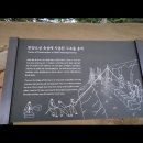 남산에서 바라본 서울 풍경 이미지