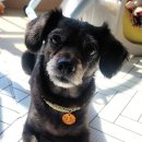 이기쁨동물병원 이미지