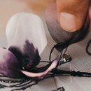 샤넬 디자인 이미지