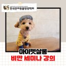 마이펫살롱 이미지