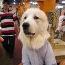 JJ 당구장 이미지