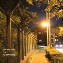 구본웅 카카오 검색결과
