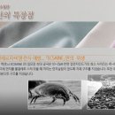 (주)수종환경 이미지