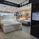 금성침대 - 해운대구 센텀동로 6 | 금성침대