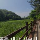 대안저수지 네이버블로그