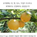 은풍농원