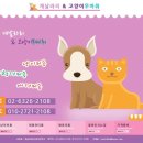 개날라리 이미지