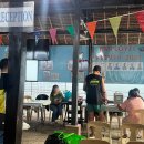 동방카 | 다이빙 중 나타난 대왕 고래상어 보홀 릴라 후기