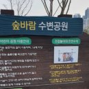 대평동_금강변길 이미지