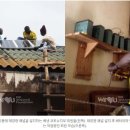 태양전기조명 이미지
