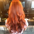 라벨르헤어 이미지