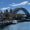아워퍼피 | 시드니 여행 경비｜직접 다녀온 <3인 가족+혼자 9박10일> 여행