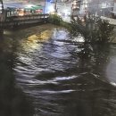 하천(비산대교) 이미지