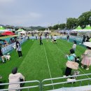 멍멍대학 이미지