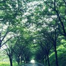 손영호농장 이미지