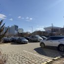 백년식당 | 군산 미원동 백년식당 제육볶음(메뉴, 후기)