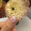 블리 | 영등포구청역네일 디블리네일 젤네일 후기 / 당산동네일