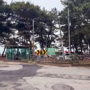 이가네민박 | 인천 섬 여행 &#39;장봉도&#39;&lt;이가네민박&gt; or 장봉도에서 삼목항 배 시간표 (신분증 없을 때 대체 가능 신분증)