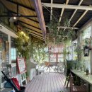 하이얀피아노 이미지