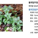프롬에이치 이미지