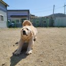 옳치 올치 이미지