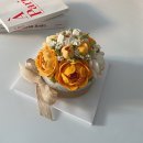 그루밍 블라썸 이미지