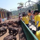 풀내음농장 이미지