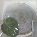 강릉엄지네꼬막집 마포점 이미지