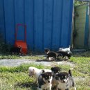 옥산2농장 이미지