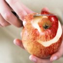 단산농원 | 문경 가볼만한곳 문경사과축제 2025 핵심정리