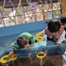 숲속키즈어린이집 이미지