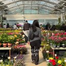 용진농장 이미지