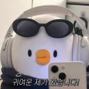 포커슨 | 01. 행복은 이렇게나 많다