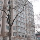 라페스타 동물병원 이미지