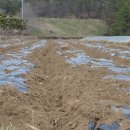 오방농장 이미지