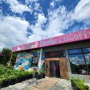 에코승마아카데미 | [아이랑 가기좋은곳 in jeju] 아이가 또 타고 싶어하는 에코승마아카데미 후기 😜