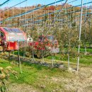 효진농장 이미지