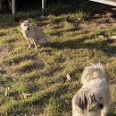 고흥바다하우스 이미지