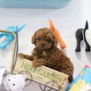 (주)서울파마 이미지