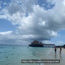 11620-4-12-5 | [탄자니아 10박 12일] 잔지바르 4박5일 후기+꿀팁!