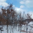 도대리카페 이미지