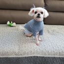 연지동물병원 이미지