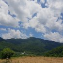 산골농부네 이미지