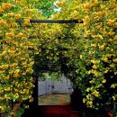 내서읍1067 이미지