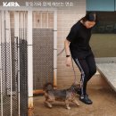 이평우 반려견 교육센터 이미지